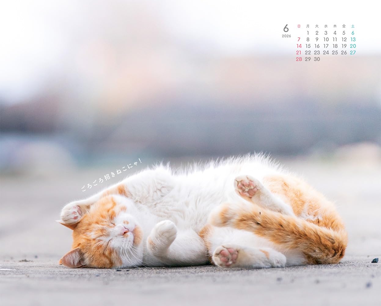 にゃっぷる 旅するねこカレンダー2026 卓上版