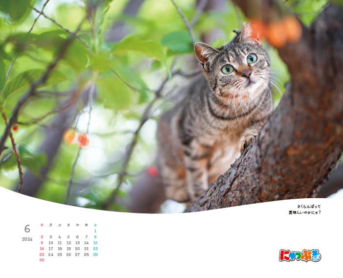 【9/8発売】にゃっぷる 旅するねこカレンダー2024 卓上版