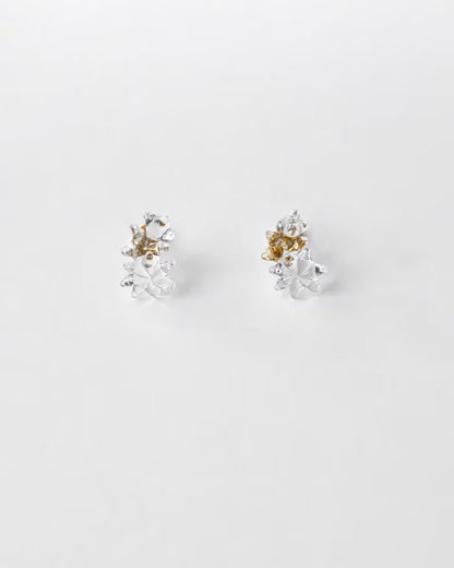 ホシアカリ【HARIO】