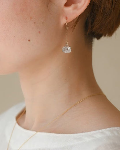 シロツメクサ【HARIO】