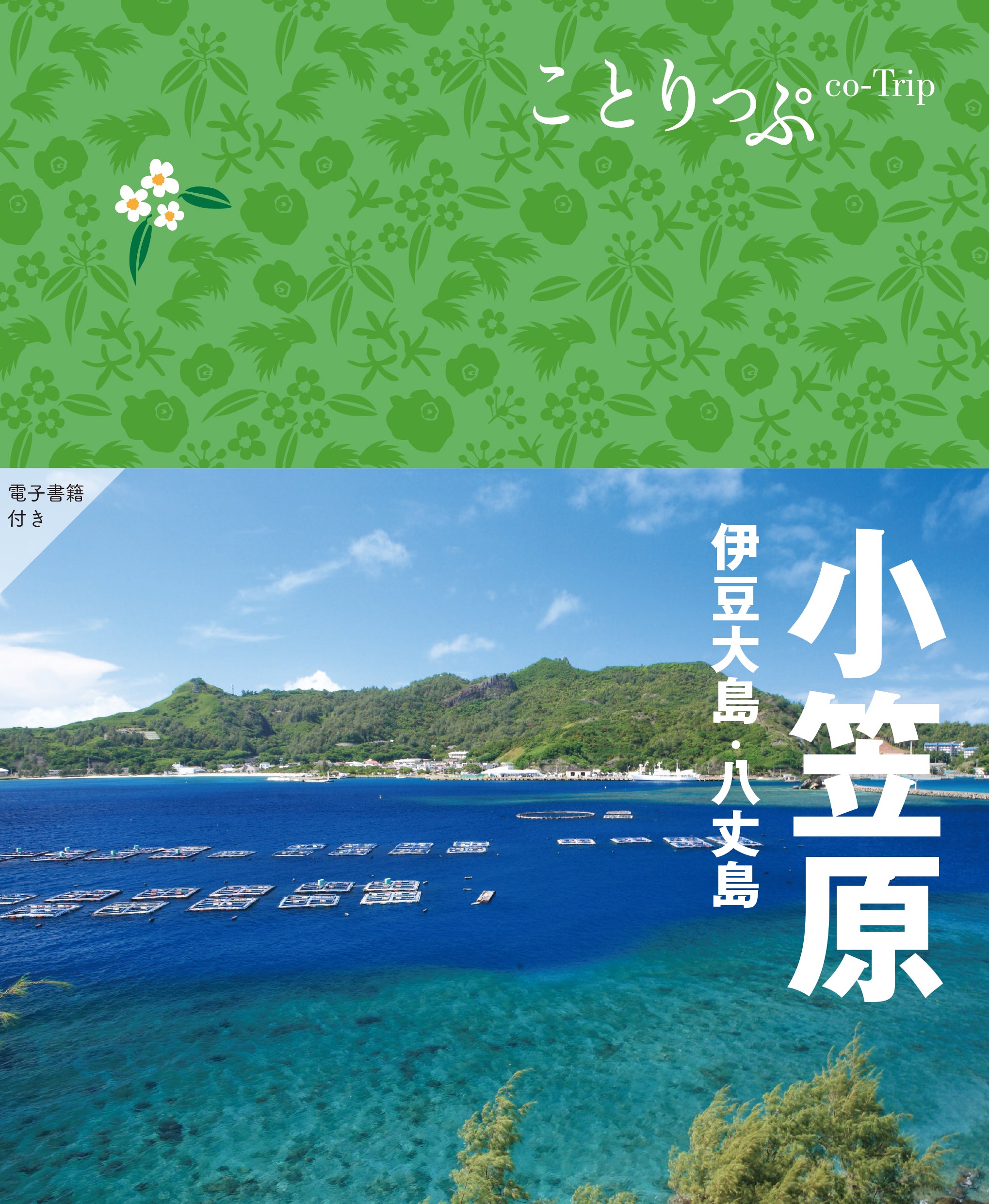 小笠原 : 伊豆大島・八丈島-