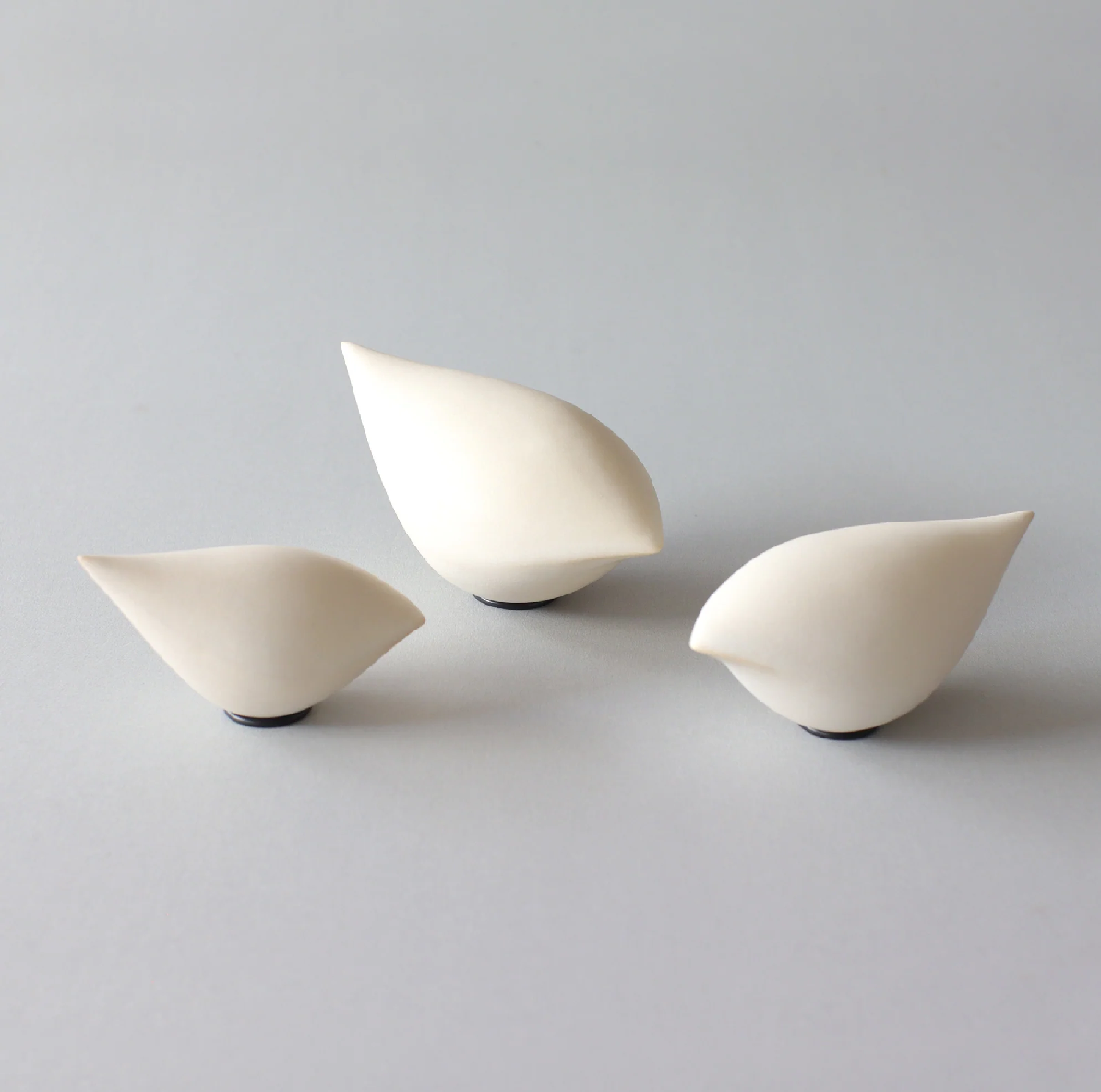 限定値下❗カルガモの剥製 飛行型 翼幅 約70cm 壁掛け型900gはくせい 限定値下❗カルガモの剥製 飛行型 翼幅 約70cm 壁掛け型900gはくせい