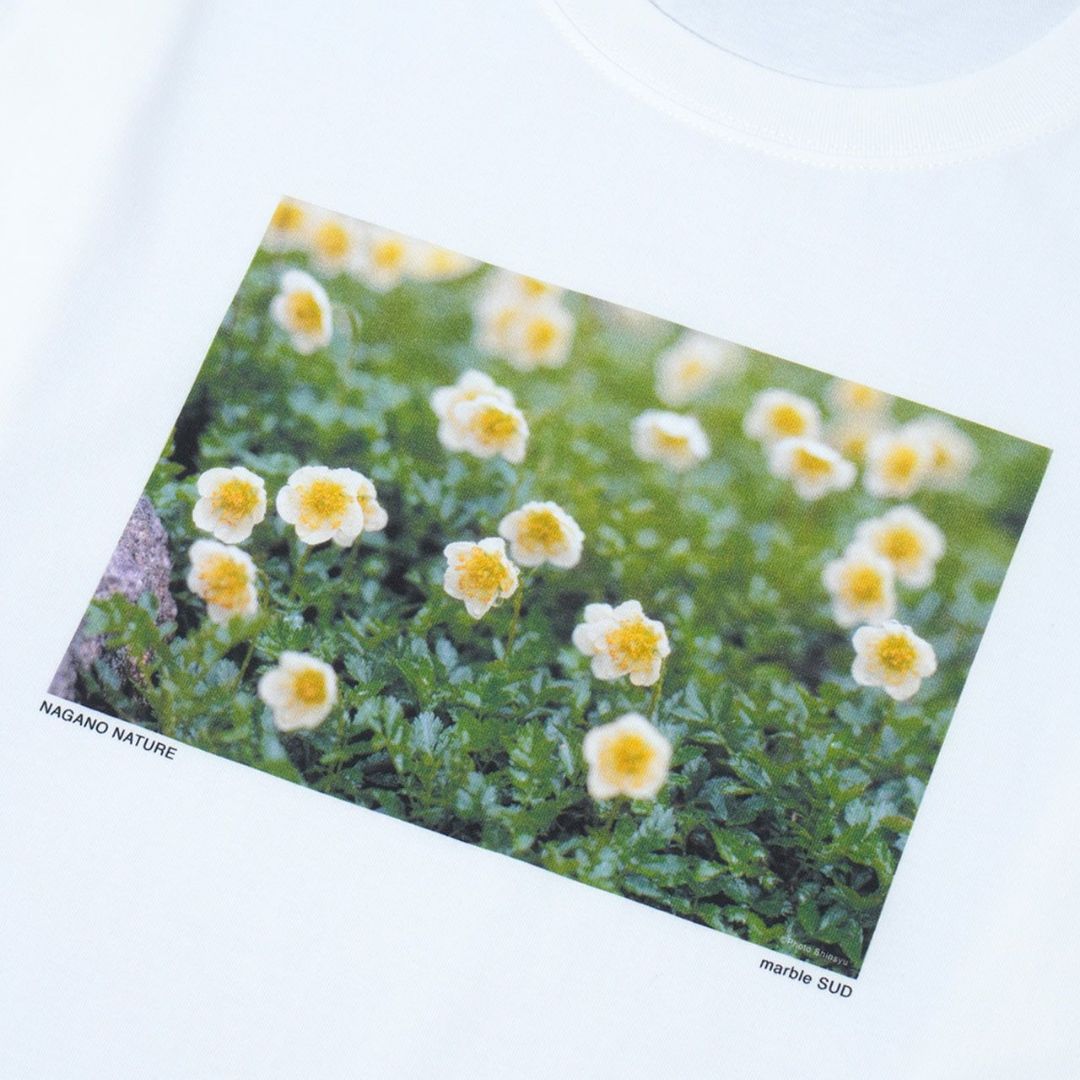 信州の夏の植物｜フォトTシャツ　photo alpine flower【marble SUD】