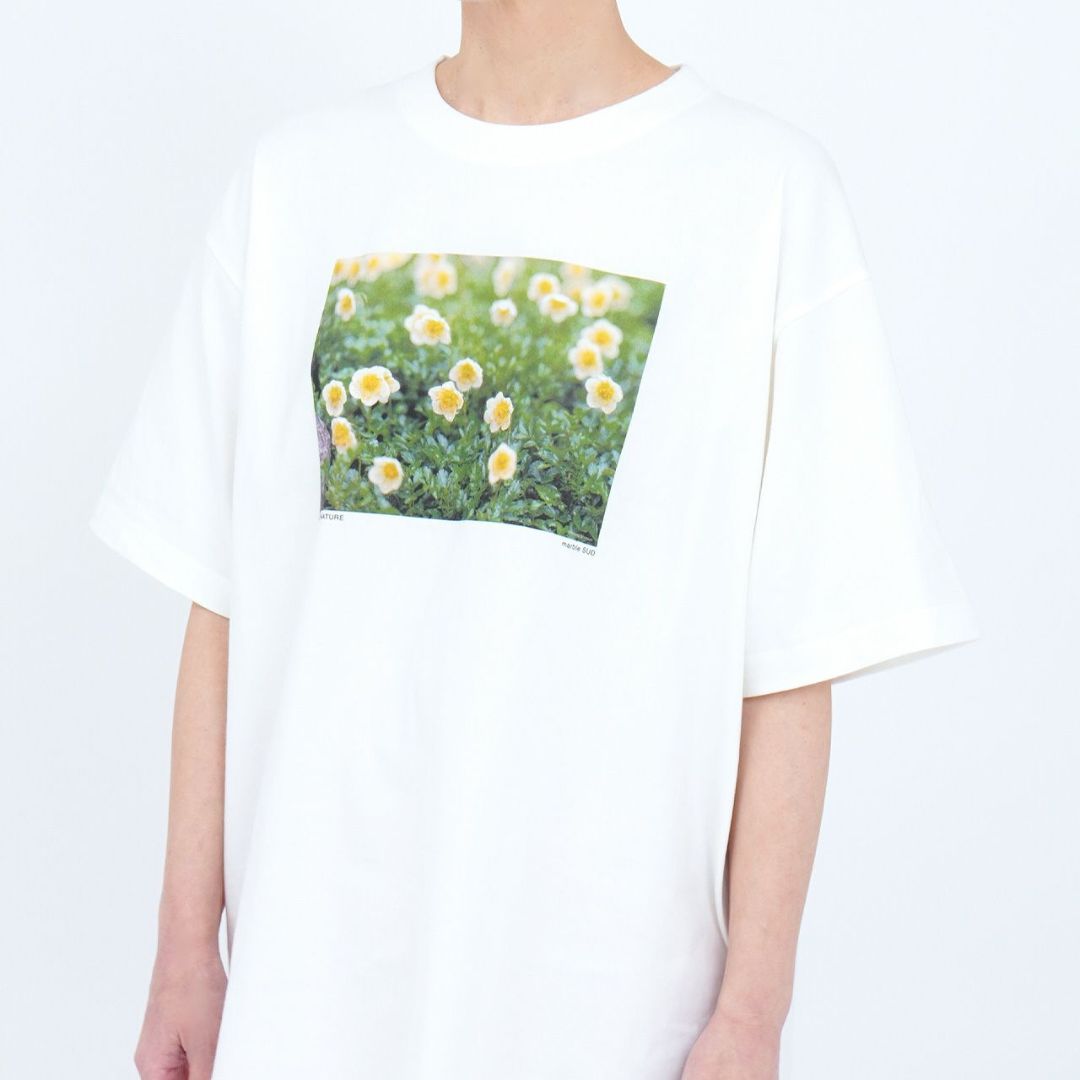 信州の夏の植物｜フォトTシャツ　photo alpine flower【marble SUD】