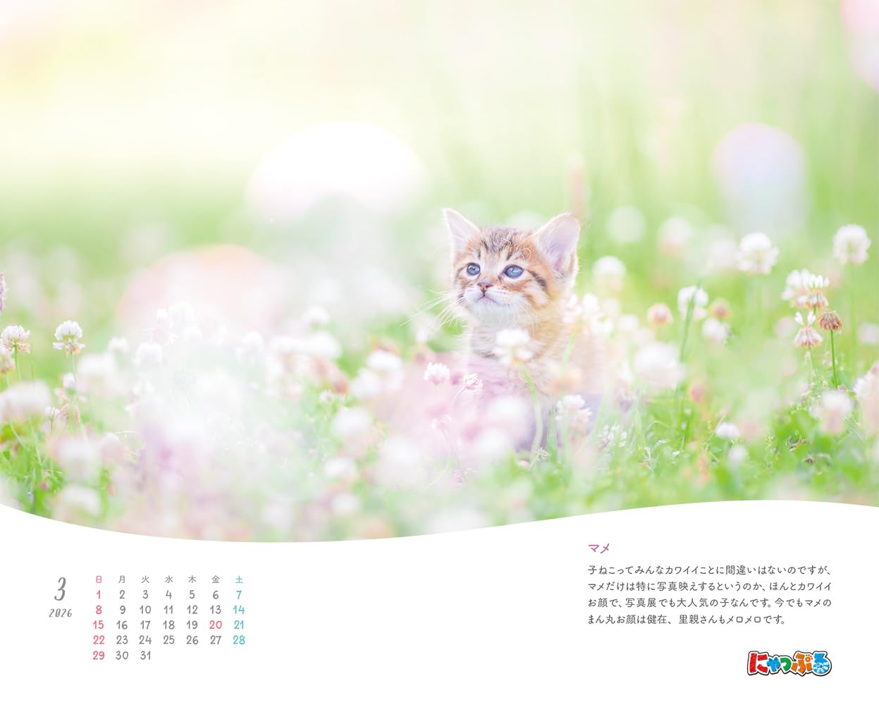 にゃっぷる 幸せつないだ12匹のこねこ カレンダー2026 卓上版