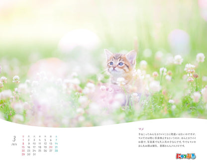 にゃっぷる 幸せつないだ12匹のこねこ カレンダー2026 卓上版