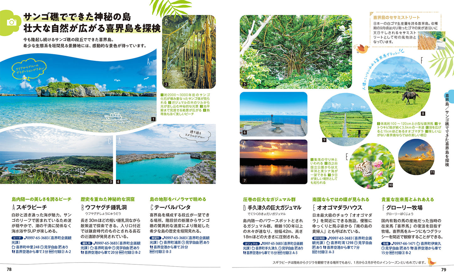 ことりっぷ 奄美群島