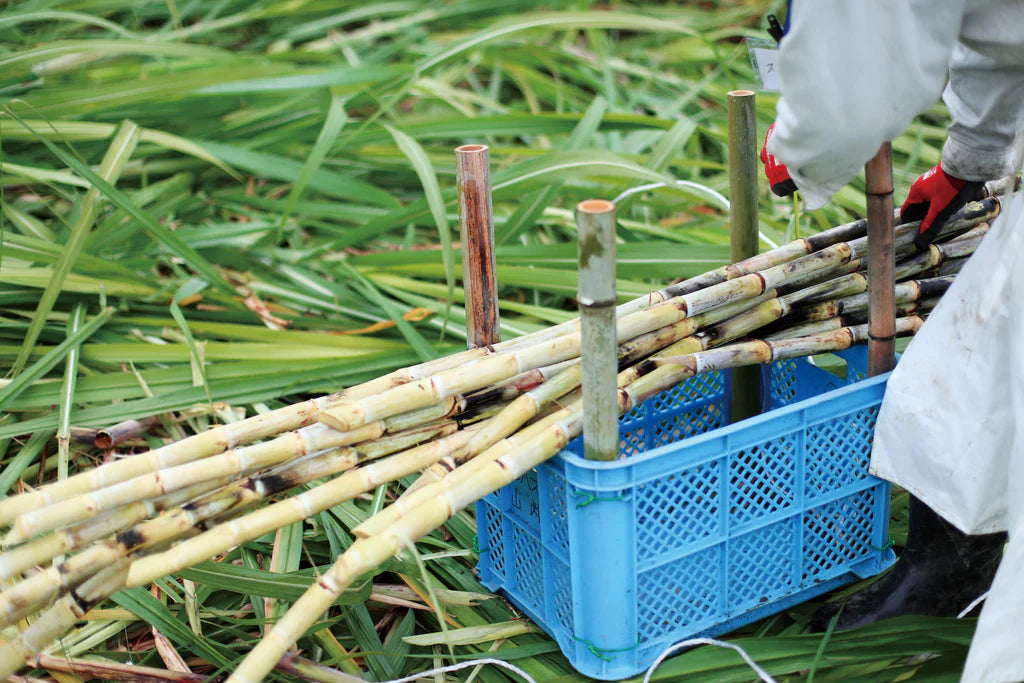 コーヒーギフトセット【HIYORI WASANBON】