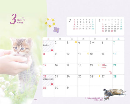 にゃっぷる 幸せつないだ12匹のこねこ カレンダー2026 卓上版